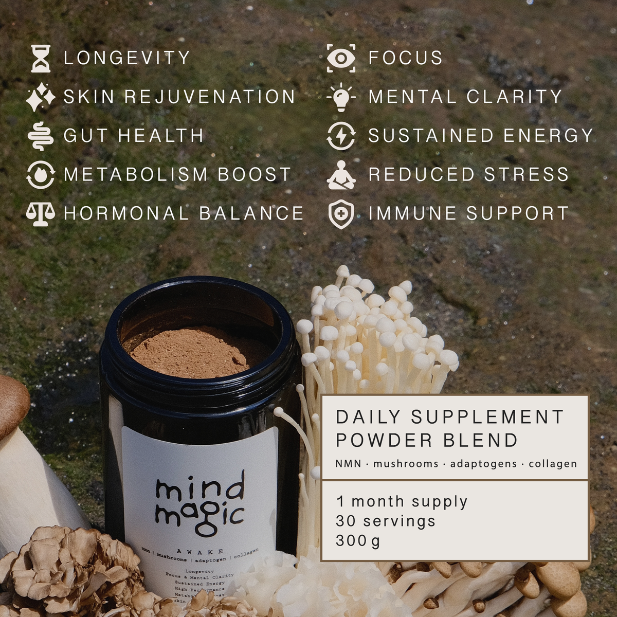 mindmagic — Try-Out Pack
