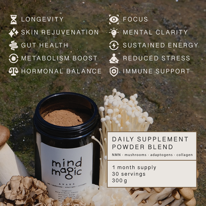 mindmagic — Try-Out Pack